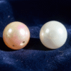 Side by side comparison of a lustrous Bahrain natural pearl and a freshwater pearl on dark velvet background